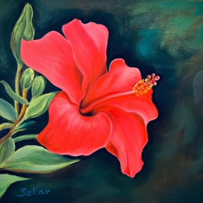 Hibiskus Blume