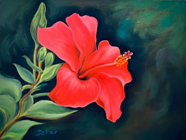 Hibiskus Blume