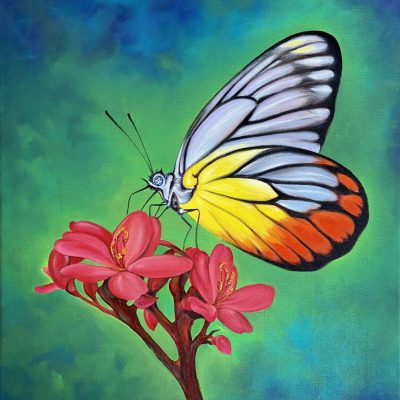 Schmetterling