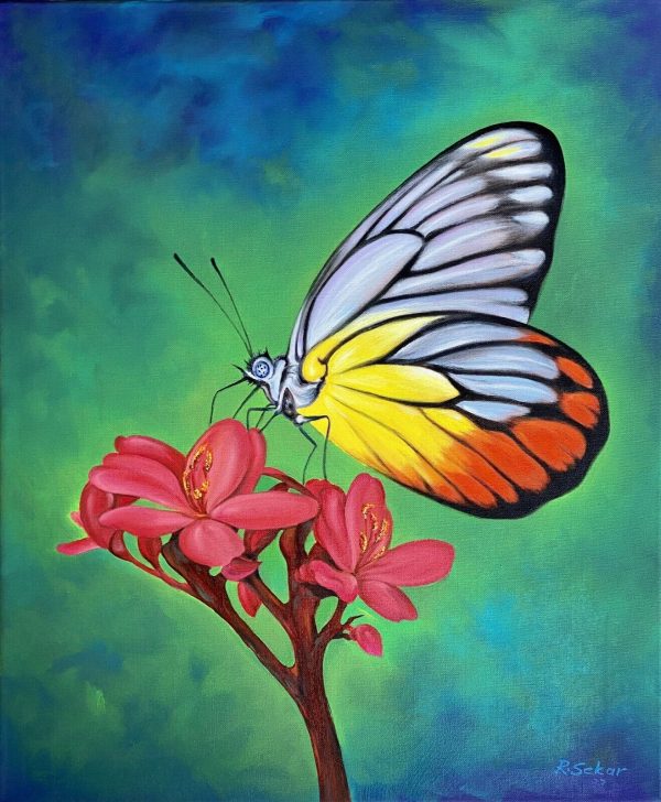 Schmetterling